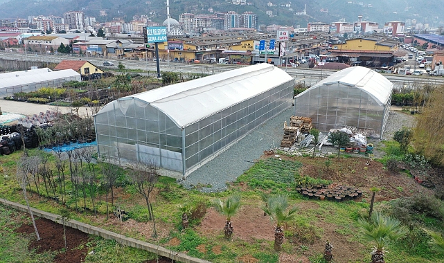 Rize Belediyesi Sera Alanında 300 Bitki Türü Üretiliyor