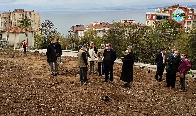 Sinop Belediye Başkanı Barış Ayhan Anlattı "Zeytin Üretimine Ağırlık Verdik"