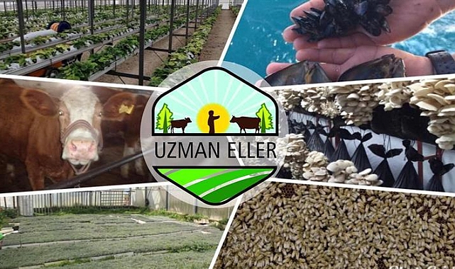 "Uzman Eller" Projesi Başvuruları Başladı