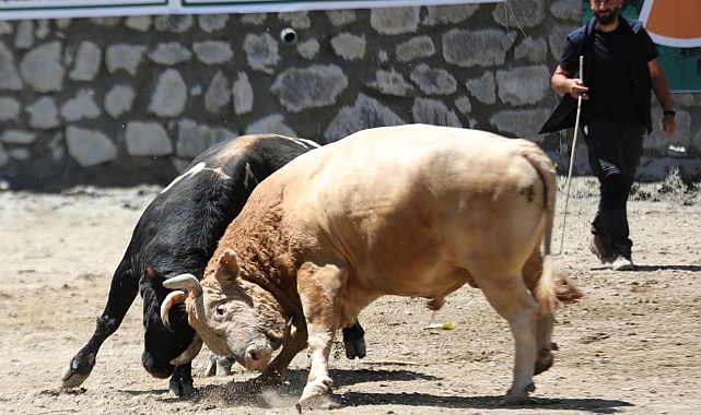 27. Çamlıhemşin Ayder Kültür, Sanat ve Doğa Festivali Başladı