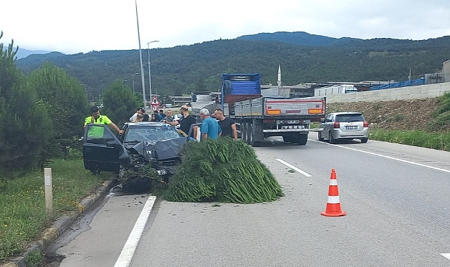Karabük'te Trafik Kazası: Araç Ağaca Çarptı