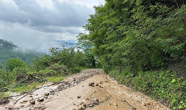 Ordu'da Sağanak Yağış Sel ve Su Baskınına Neden Oldu