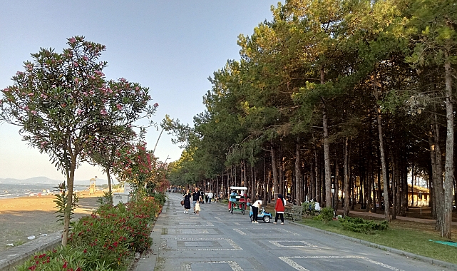 Miliç Plajı Ziyaretçilerine Yeşil İle Maviyi Bir Arada Sunuyor