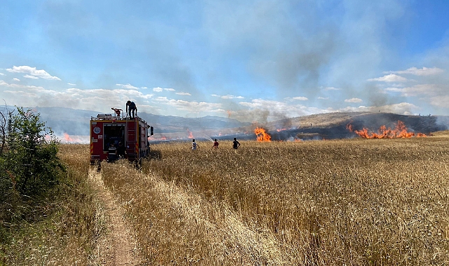 Tokat'taki Yangında Buğday Ekili Alan Zarar Gördü