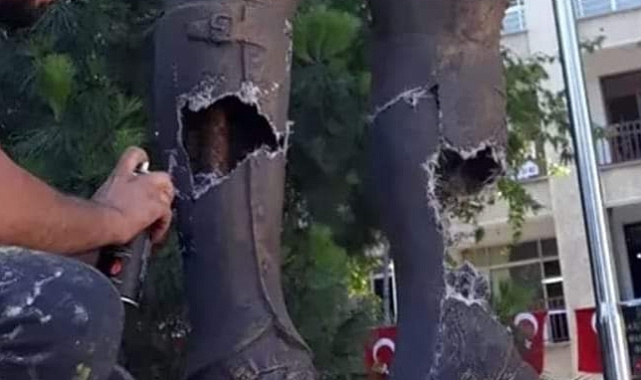Trabzon'da Atatürk Anıtına Zarar Veren Şahıs Gözaltına Alındı