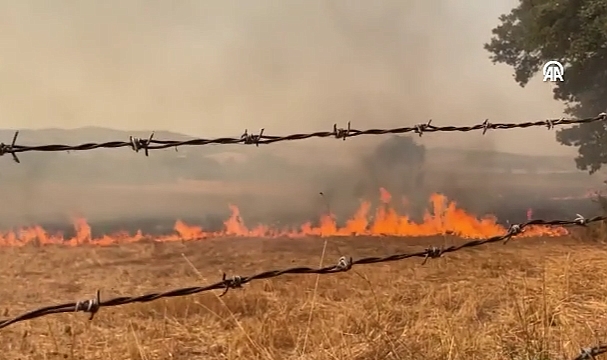Çanakkale'nin Biga İlçesinde Ağaçlık Alanda Yangın Çıktı