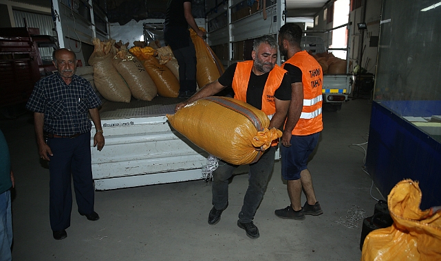 TMO Ordu'da Fındık Alımlarına Başladı