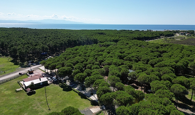Çarşamba Halkı Orman Parkı'nı Çok Sevdi