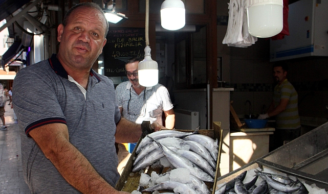 Karadeniz'de Palamut Tezgaha Çıkmaya Başladı