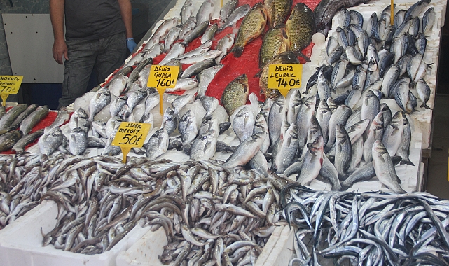 Samsun'da Mezgit ve İstavrit Tezgahtaki Yerini Aldı