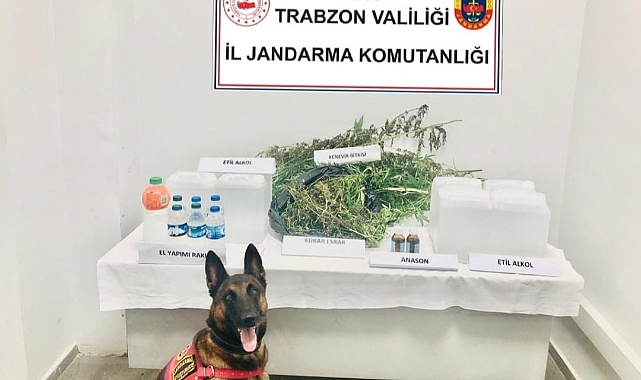 Trabzon'da Evinde Kenevir Yetiştiren Kişi Gözaltına Alındı