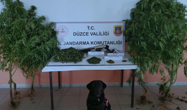 Uyuşturucu Operasyonunda 1 Kişi Gözaltına Alındı