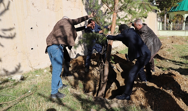 Bayburt'ta Okul Bahçeleri Ağaçlandırılıyor