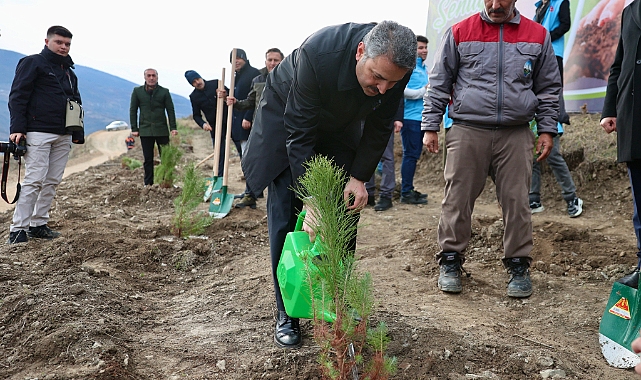 Tokat Belediyesi 10 Yılda 200 Bin Fidanı Toprakla Buluşturdu