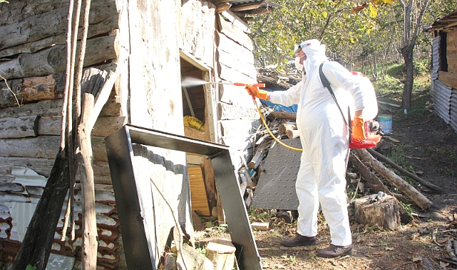 Giresun Belediyesi'nden Kahverengi Kokarcayla Mücadeleye Destek