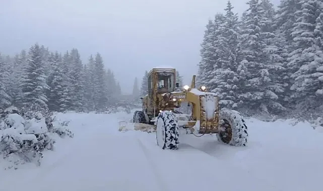 Ordu'da Karda Mahsur Kalan 4 Kişiyi Arama Çalışmaları Sürüyor
