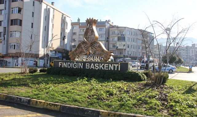 Giresun'da Kavşak Park Yollarına Fındık Dikiliyor