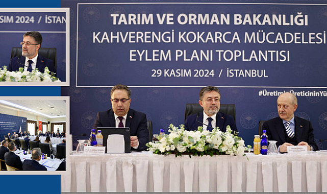 Kahverengi Kokarcayla Mücadele Eylem Planı Hazır