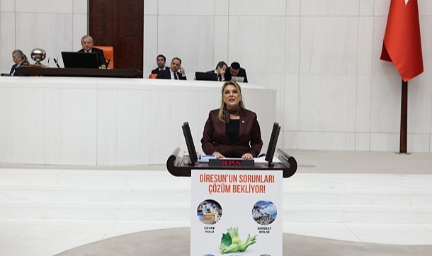 Milletvekili Gezmiş, "Giresun Bu İktidar Döneminde Geriye Gitti"