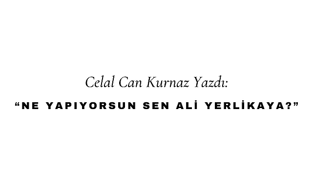 Ne Yapıyorsun Sen Ali Yerlikaya