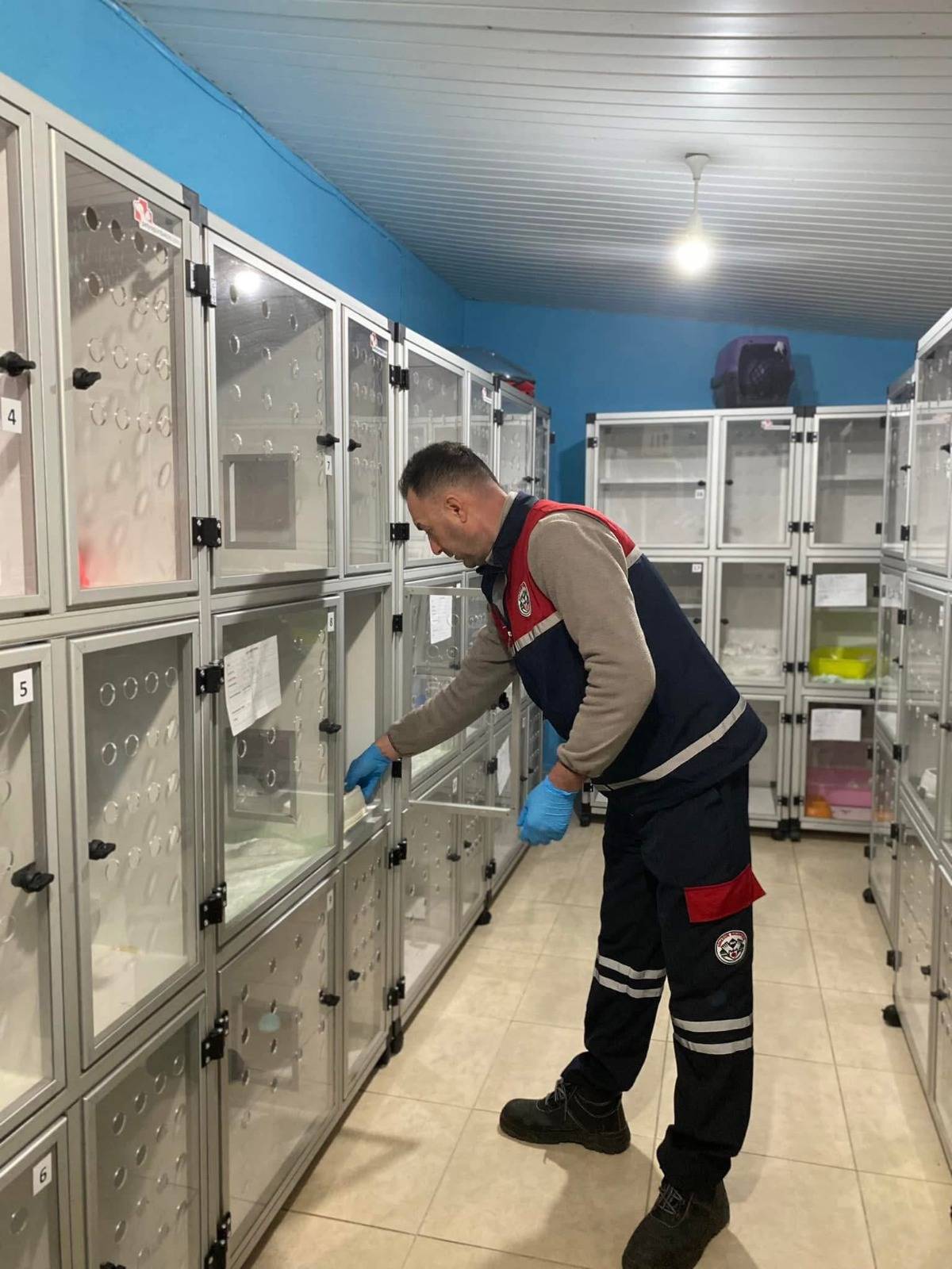 Giresun Belediyesi Hayvan Barınağı Umut Oldu!